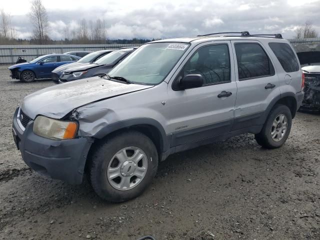 2002 Ford Escape XLT