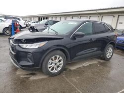 Vehiculos salvage en venta de Copart Louisville, KY: 2023 Ford Escape Active