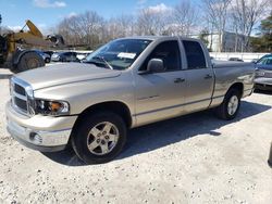 Dodge RAM 1500 ST Vehiculos salvage en venta: 2004 Dodge RAM 1500 ST