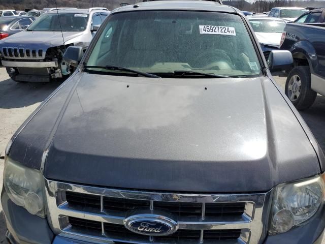 2011 Ford Escape Limited