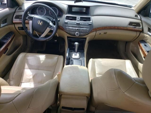 2010 Honda Accord EXL