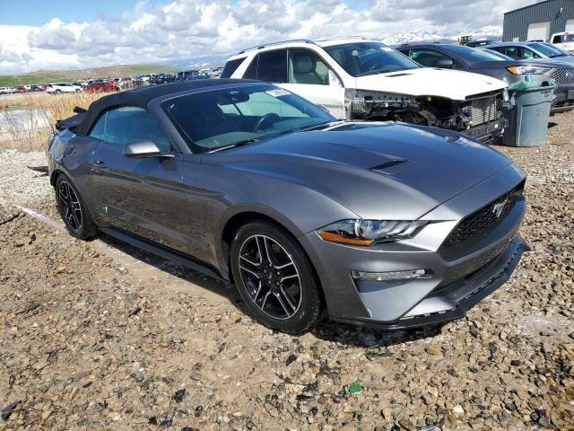 2021 Ford Mustang