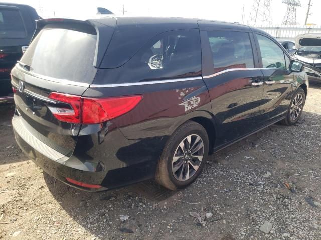 2024 Honda Odyssey EXL