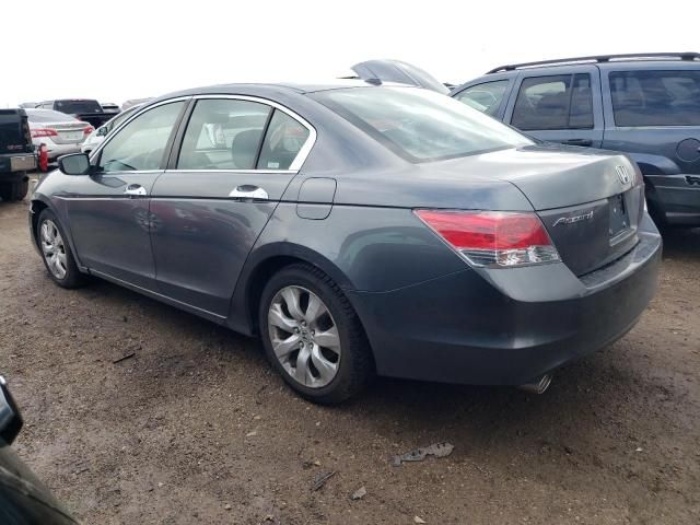 2008 Honda Accord EXL