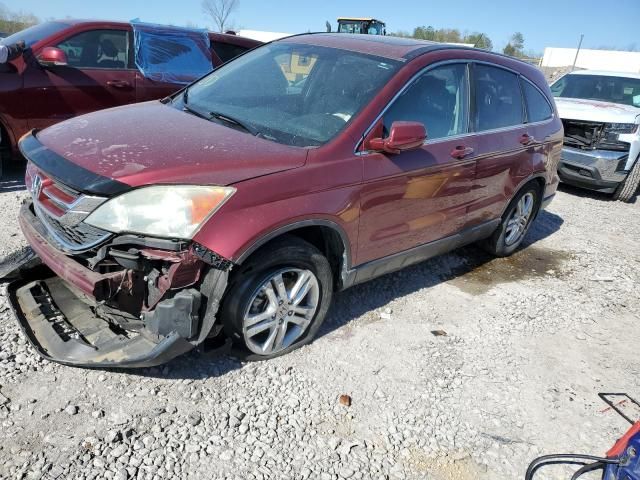 2010 Honda CR-V EXL