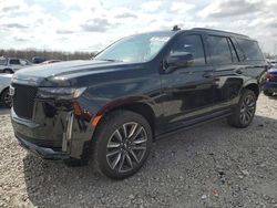 Salvage cars for sale at Memphis, TN auction: 2023 Cadillac Escalade Sport Platinum