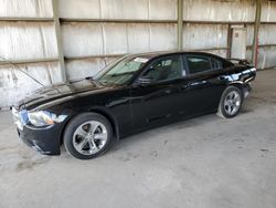 Salvage cars for sale from Copart Phoenix, AZ: 2013 Dodge Charger SE