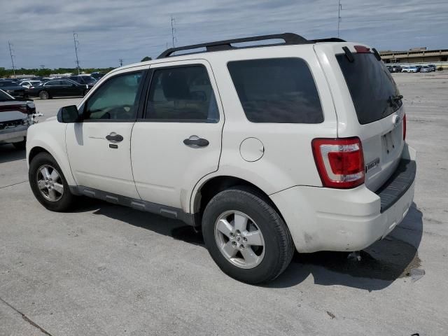 2009 Ford Escape XLT