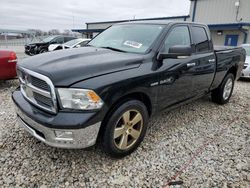 Dodge RAM 1500 salvage cars for sale: 2010 Dodge RAM 1500