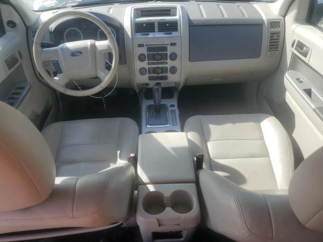 2009 Ford Escape XLT