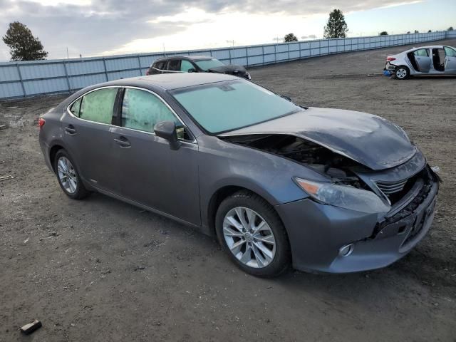 2013 Lexus ES 300H