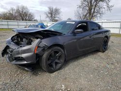 Dodge Charger salvage cars for sale: 2019 Dodge Charger SXT