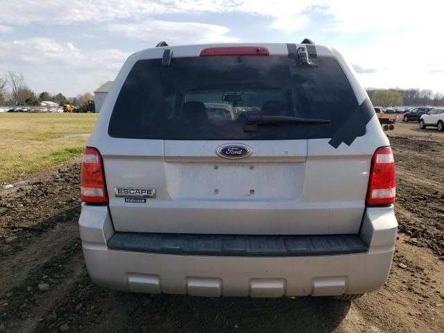 2008 Ford Escape XLT