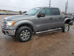 Ford salvage cars for sale: 2013 Ford F150 Supercrew