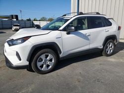 Salvage cars for sale from Copart Antelope, CA: 2019 Toyota Rav4 LE
