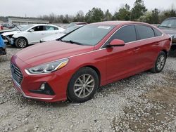 Salvage cars for sale at Memphis, TN auction: 2019 Hyundai Sonata SE