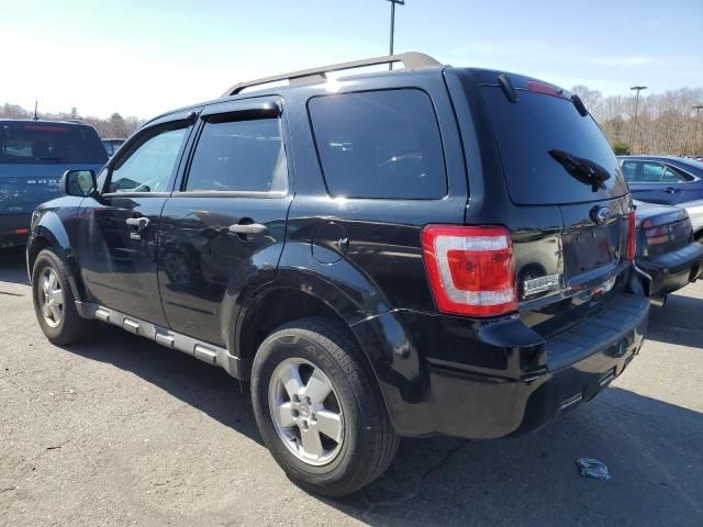 2010 Ford Escape XLT