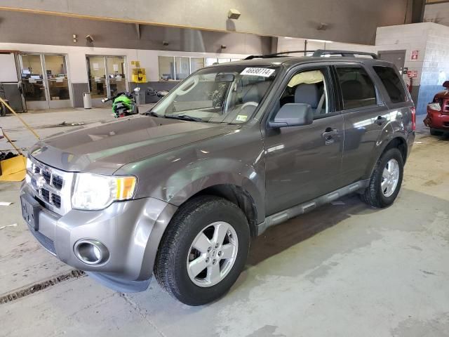 2010 Ford Escape XLT