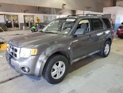 Salvage cars for sale at Sandston, VA auction: 2010 Ford Escape XLT