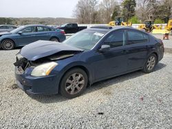 Nissan Maxima salvage cars for sale: 2007 Nissan Maxima SE