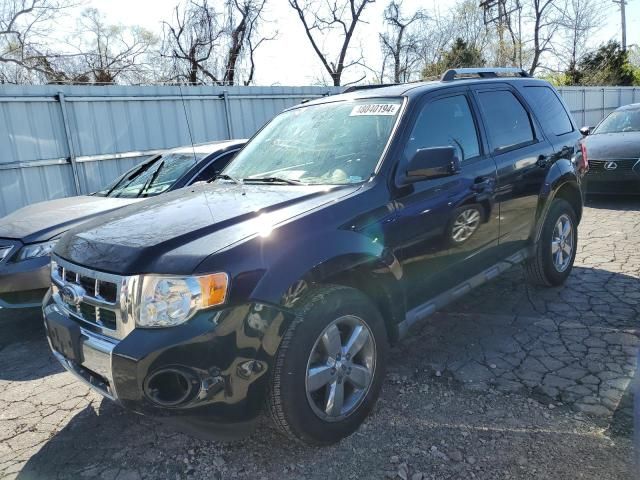 2010 Ford Escape Limited