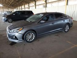 Salvage cars for sale at Phoenix, AZ auction: 2019 Hyundai Sonata SE