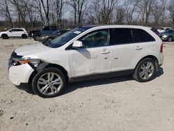 Salvage cars for sale at Cicero, IN auction: 2011 Ford Edge Limited