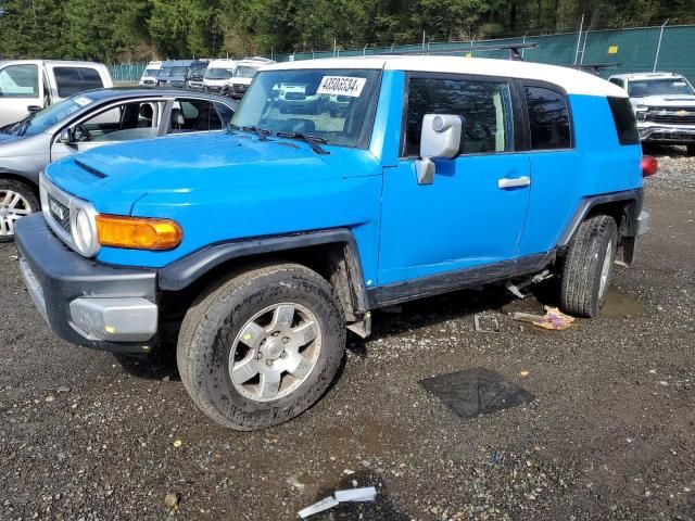 2007 Toyota FJ Cruiser