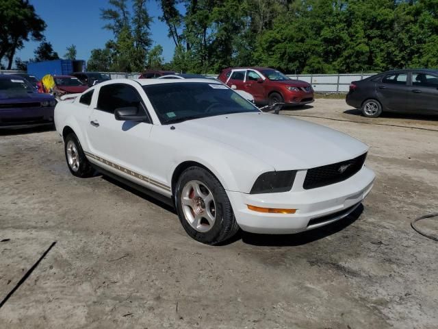 2005 Ford Mustang