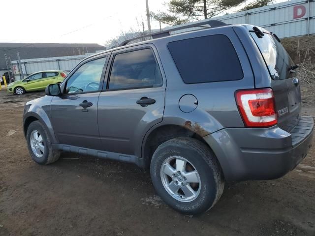 2011 Ford Escape XLT