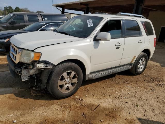 2009 Ford Escape Limited