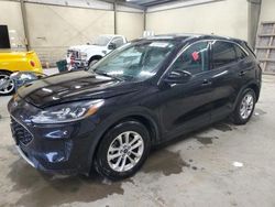 Ford Escape SE salvage cars for sale: 2020 Ford Escape SE