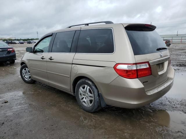 2005 Honda Odyssey EXL