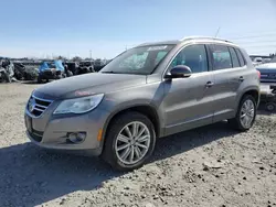 Salvage cars for sale at Eugene, OR auction: 2009 Volkswagen Tiguan SE