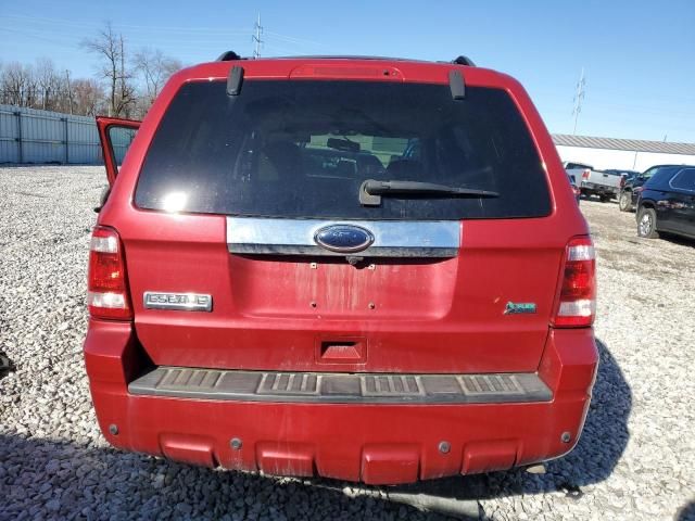 2011 Ford Escape Limited