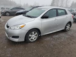 Toyota salvage cars for sale: 2010 Toyota Corolla Matrix