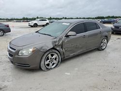 Salvage cars for sale at Arcadia, FL auction: 2010 Chevrolet Malibu 1LT