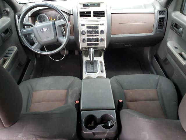 2008 Ford Escape XLT