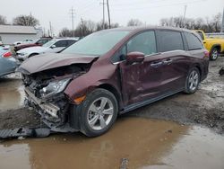 Salvage cars for sale from Copart Columbus, OH: 2019 Honda Odyssey EXL