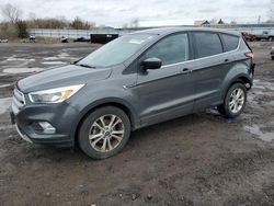 Salvage cars for sale at Columbia Station, OH auction: 2019 Ford Escape SE
