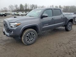 Salvage cars for sale from Copart Finksburg, MD: 2021 Toyota Tacoma Double Cab