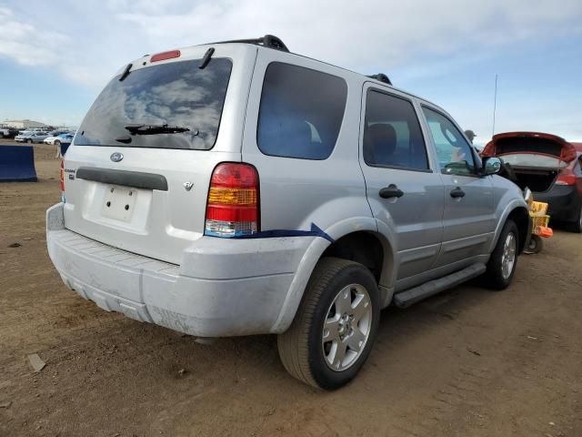 2007 Ford Escape XLT