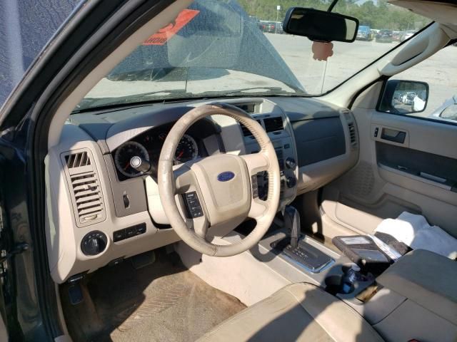 2009 Ford Escape XLT