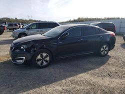 KIA Optima Hybrid salvage cars for sale: 2013 KIA Optima Hybrid