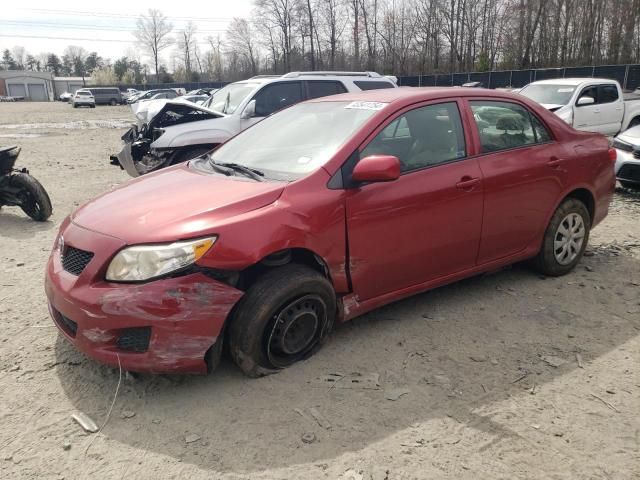 2009 Toyota Corolla Base