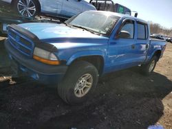 Dodge Dakota Quattro salvage cars for sale: 2001 Dodge Dakota Quattro