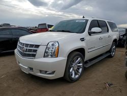 Salvage cars for sale at Brighton, CO auction: 2014 Cadillac Escalade ESV Platinum