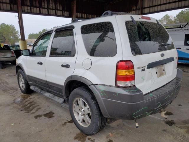 2005 Ford Escape XLT