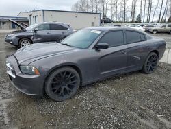 Salvage cars for sale from Copart Arlington, WA: 2014 Dodge Charger SE
