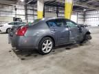 2006 Nissan Maxima SE